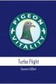 turbo przód.jpg