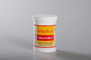  Intestino 500g