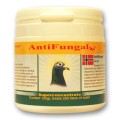 AntiFungal_opt (1).jpg