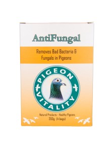 ANTIFUNGAL 200 gr